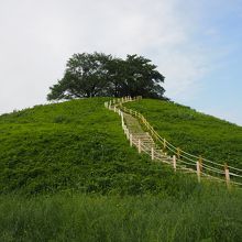 日本最大の円墳