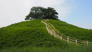 埼玉にも世界遺産を目指す古墳群がありました