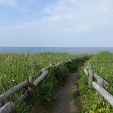 小清水原生花園