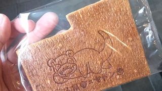 ヤドンとコラボ中