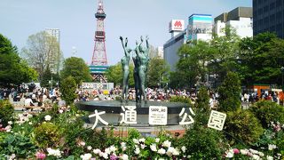 キレイな紫の花