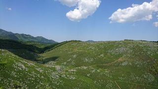 秋吉台カルスト展望台