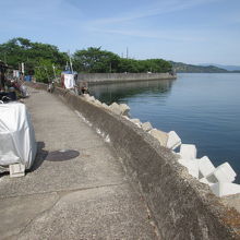 堤防沿いの小道