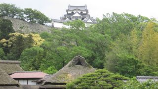 庭園越しに天守閣が見えます