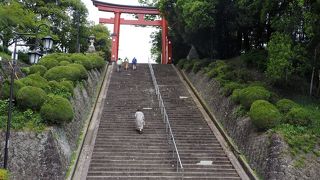 上野國の一之宮は参道を登ってから下る『下り宮』と呼ばれる珍しい配置になっています