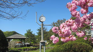 新緑公園