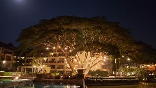 ラティチュード19 