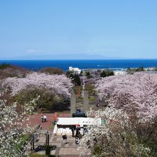 屋上から見える噴火湾、向こうに見えるは室蘭方面