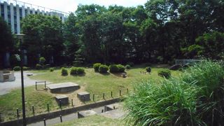 大久保地区と箱根山地区と大きな公園が別れていた公園でした。