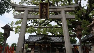 雰囲気がよかったです