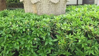 柱頭だけでもかなり大きなもの