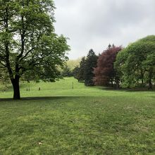 公園内は緑が多く休息にはいい場所です。