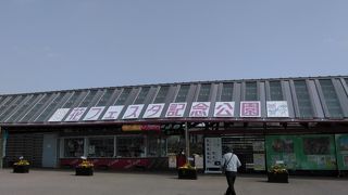 美しい花々が咲き誇る園内