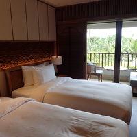 Standard Twin Garden View