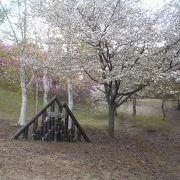 八重桜が綺麗で猪苗代湖を見下ろす高台