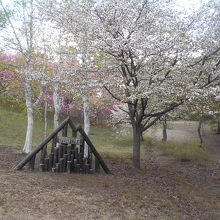 標高が高いので、麓よりも桜も八重桜も遅い