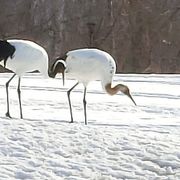 池中玄太の撮影スポット