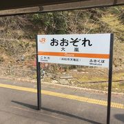 橋から天竜川を見下ろした