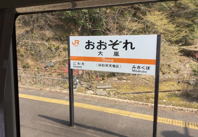 橋から天竜川を見下ろした