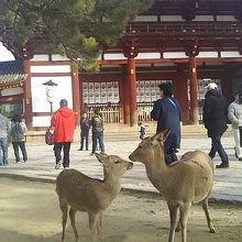 東大寺の本堂・正門前にて。