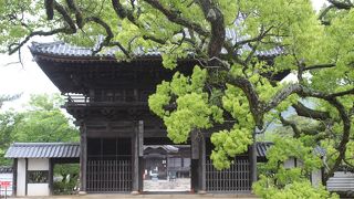 立派な金堂、拝観料は無料です