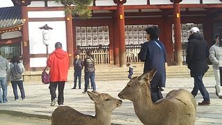 海外の方に大人気！！