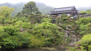 広くて美しい庭園