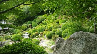 観音寺神恵院の庭園