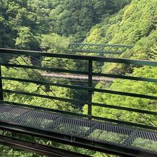 箱根登山電車からの車窓