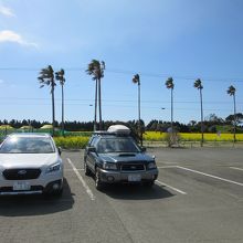 駐車場も無料でした