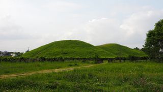 武蔵の國の最大規模の前方後円墳