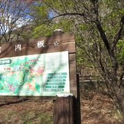 無料の広々とした公園