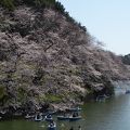千鳥ヶ淵緑道全長約７００ｍの遊歩道の桜は絶景です！
