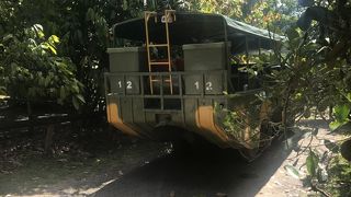 キュランダツアーの鉄板観光