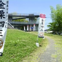 駐車場から建物の前を廻って入口に向かいます