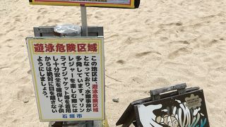 米原ビーチでスノーケリング