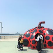 瀬戸内芸術祭で最も有名な展示といっても過言でない