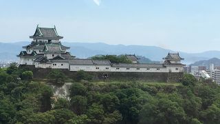 和歌山城のすばらしい眺望、やさしいお味