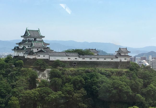 和歌山城のすばらしい眺望、やさしいお味