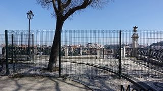 とても良い景色です