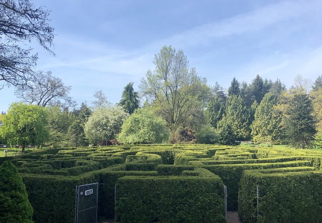 バンデューセン植物園 クチコミ アクセス 営業時間 バンクーバー フォートラベル バンデューセン植物園 クチコミ アクセス 営業時間 バンクーバー フォートラベル