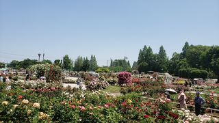 平日がオススメ