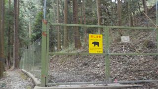 白山城と言う武田信義の出城があった場所は山奥の２か所でした。