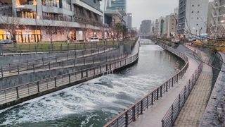 ほぼ真下から東京スカイツリーを望める