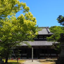 内部も素晴らしい大傳法堂です。