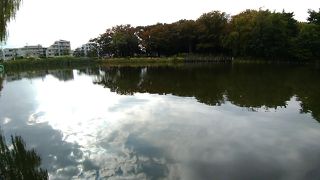 大きな池があり周りには林、高級住宅街があって、最高の散策ルート