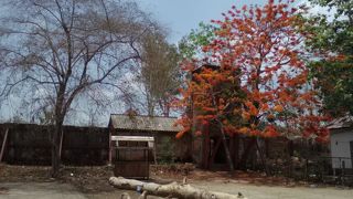 フォート カルノー