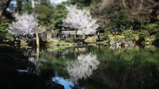 無料開放day でした ♪