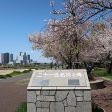 二十一世紀桜之碑