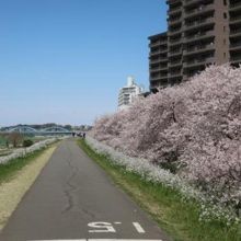 集団左遷のロケ地